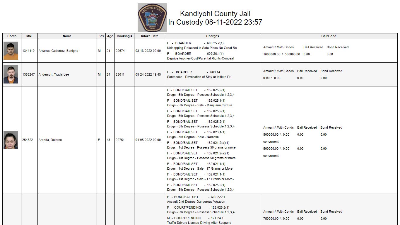 Custody - Kandiyohi County